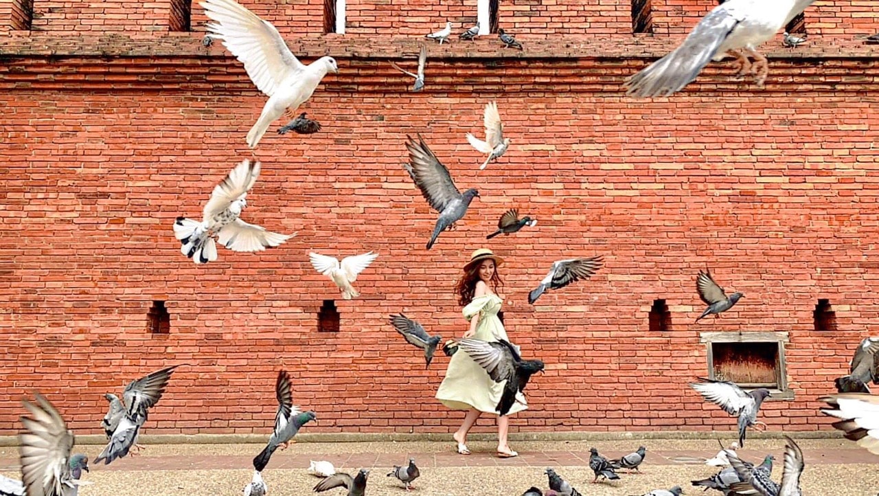 tour tự túc giá rẻ