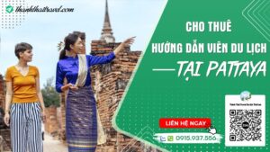 hướng dẫn viên du lịch tại pattaya